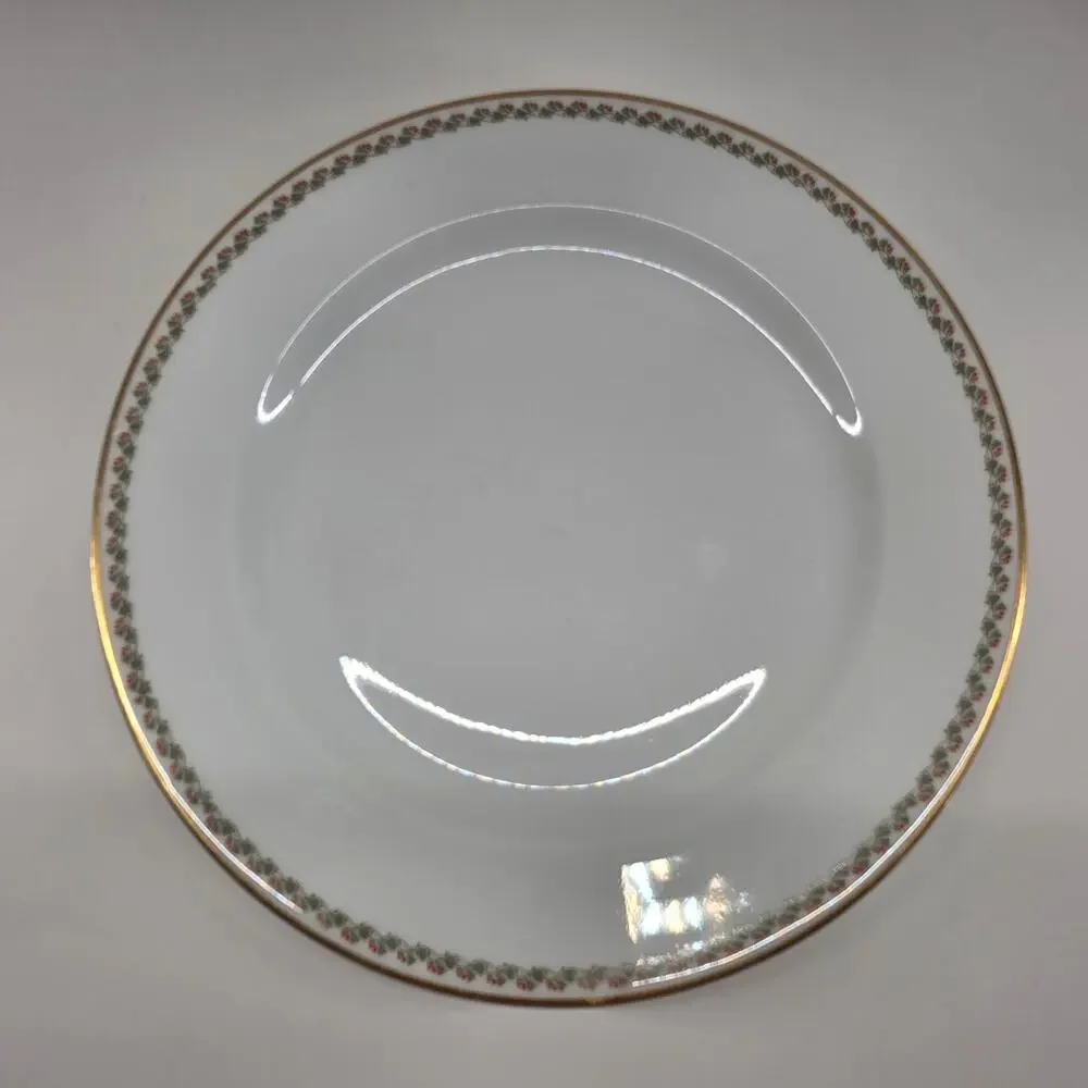 Haviland Limoges France Floral Gold Rim Dinner Plates Lot of 6 10